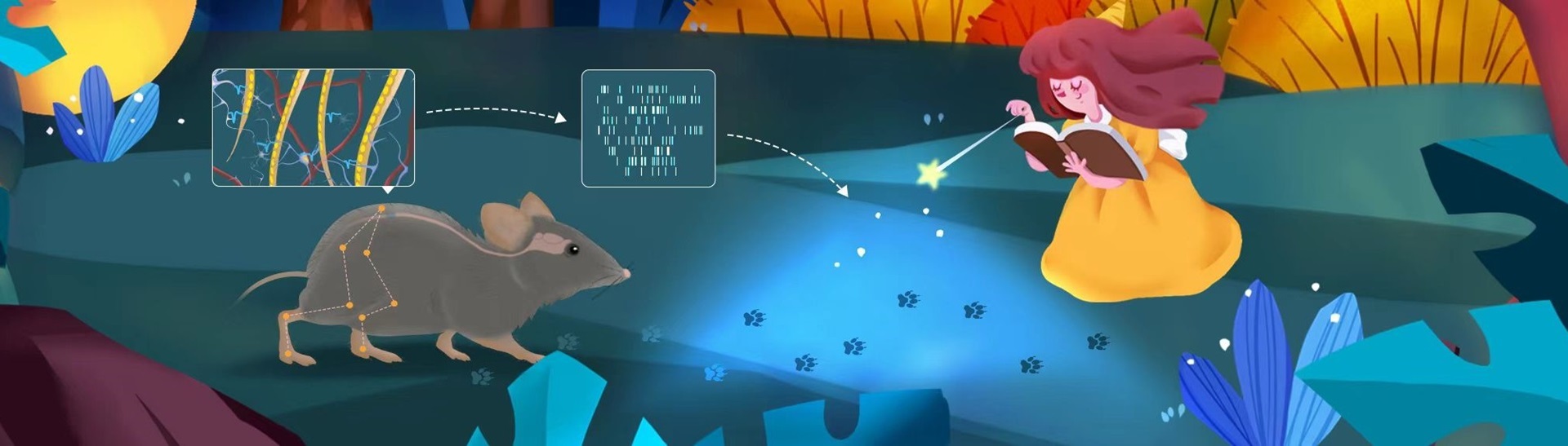 腦智卓越中心開發超柔性脊髓界面成功實現長期穩定的信號記錄和解碼